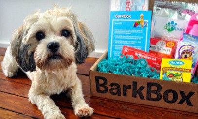 bark-box